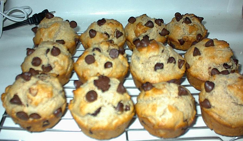 Chocolate Chip Muffins