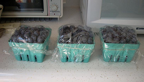 Farm Stand - 7/26/08