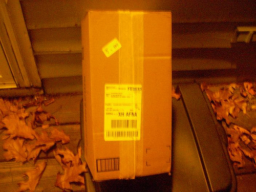 Caramels waiting outside.